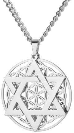 Amaxer Collar con colgante de flor de la vida de estrella de David para mujer, mandala, geometría sagrada, declaración de protección, moneda, collar de cadena, L50, Acero inoxidable