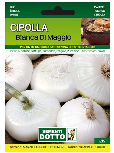 Sicignano | Semi Cipolla Bianca di Maggio, Medio Grossa, Bulbo Bianco, Buccia Sottile, Busta Extra - 1 Confezione da 2.1g, Pianta a Ciclo Medio-Precoce