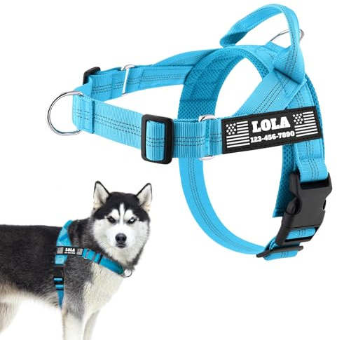 PETAILAUREL Personalized No-Pull Dog Harness with Custom Patches, Blue | Reflective Nylon, Pair of Custom Hook-and-Loop Patches, Easy-On Design, Plastic Quick-Release Buckles