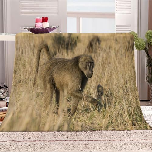 Gorilla Kinderdecke Wohndecke Afrika Tiere Flanell Fleece Kuscheldecke Flauschig 100x130cm Weiche Warme Sherpa Decke Gemütlich Leicht Sofadecke für Mädchen Jungen Couch Bett Decke