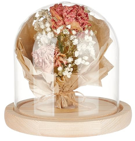 BENECREAT Campana de Cristal Blanqueada de 12x12cm/5x5 Pulgadas, Cúpula de Exhibición de Madera, Campana de Vidrio Transparente para Manualidades Florales, Decoraciones de Navidad