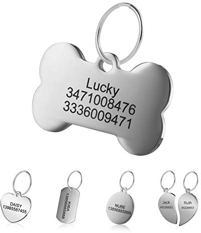 Premium Engraved Personalised Pet Dog Cat Name ID Stainless Steel Tag Collar (M, Bone)