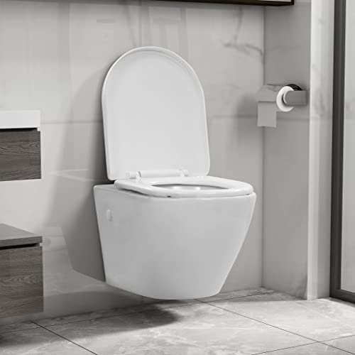 BaraSh Wand-WC ohne Spülrand Keramik Weiß Wand Wc SpüLrandlos Weiß Matt