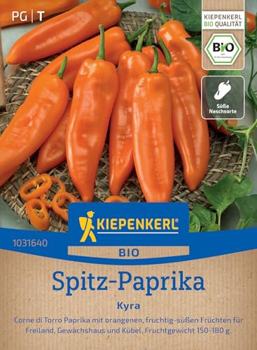 Kiepenkerl Spitz-Paprikasamen Kyra 1031640, Gemüsesaat | Fruchtig- süß, orangene Früchte, Wuchshöhe 80-100 cm, aromatisch, für Hochbeet, Freiland & Gewächshaus