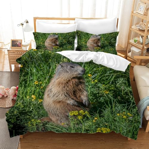 Bettwäsche 200x200 Biber Bettwäsche Set 3 Teilig Blumen Muster Bettbezug für Erwachsener, Microfaser Weich Warm Bettbezüge und 2 Kissenbezug 80x80 cm, mit Reißverschluss