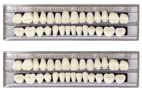 EUPSIIU 2 Stück false teeth in dental complete acrylic resin Falsche Zähne Veneers Kosmetische Zahnabdeckung Zahnprothese Künstliche Temporäre Zähne Provisorische Zahnprothese (2 Stück)