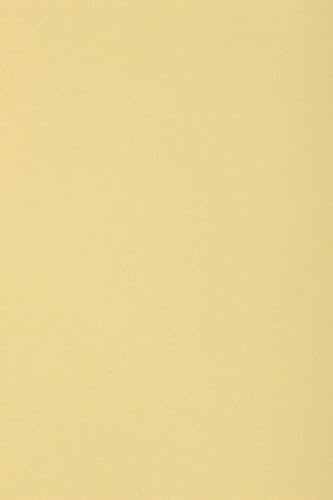 Netuno 10 Blatt Tonkarton Creme DIN A3 29,7 x 42 cm 250g Burano Camoscio edler Farbkarton für Verpackungen Karten Einladungen Papierboxen Schachteln Dekorkarton Bastelkarton farbig
