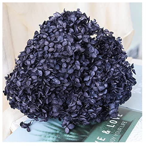 RCIDOS Top Aesthetics Hortensia de Hortensia preservada de Colores con Cabeza de 25cm con Tallo, Hojas pequeñas, Flores Reales, Material de Bricolaje Hecho a Mano, decoración del hogar (Color : 3)