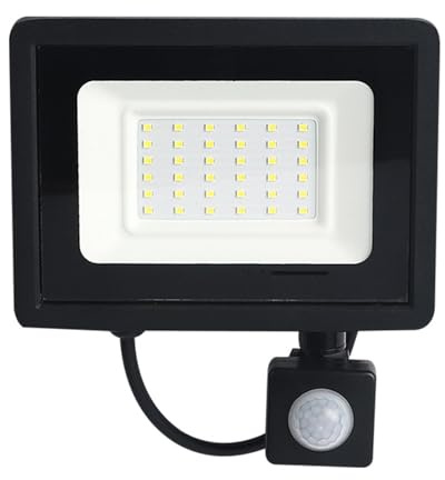 Flutljus, Styr utomhus säkerhetsbelysning LED-lampor for gårdar byggnader fabriker domstolar(Warm Light,20W)