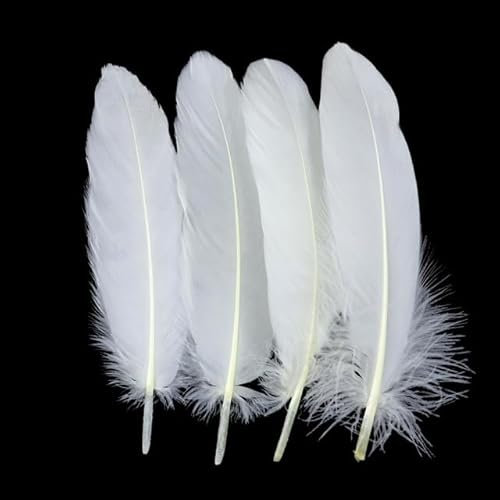 100 Stück/Paket, farbige DIY-Gänsefluss-Prozess-Federn, fluoreszierende Blumen, Kastanien-Dekorationszubehör, Beige-18