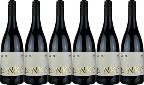 Danner Wotan Pinot Noir Eichenfass Barriqe Jahrgänge, 2016 Trocken (6 x 0.75 l)