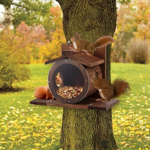 Eichhörnchen Futterhaus Holz 33x17x24cm Eichhörnchen Haus Wetterfest eichhörnchenfutterhaus mit Runden Transparentes für Montage Bäumen Zäunen im Freien