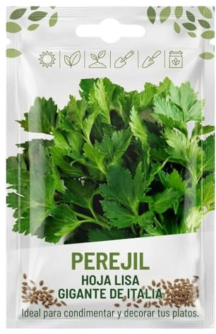 Jardinería en Casa con Perejil | Semillas de Perejil para Maceta, Terraza o Huerto DECOALIVE