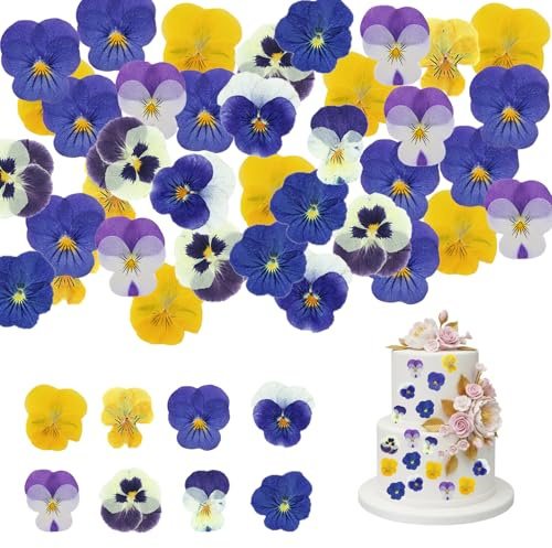 Lot de 40 fleurs comestibles naturelles, pour la décoration de gâteaux | séchées et pressées – assortiment coloré de pensées Viola tricolor pour cocktails et cupcakes