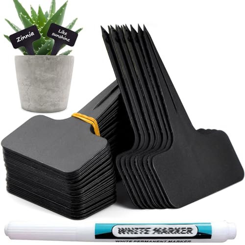 Orrdiffi 100 etichette per piante (6x10 cm), riutilizzabili nere grandi etichette per piante per esterni, etichette per semi di piante, erbe, da giardino, in plastica spessa, colore: nero