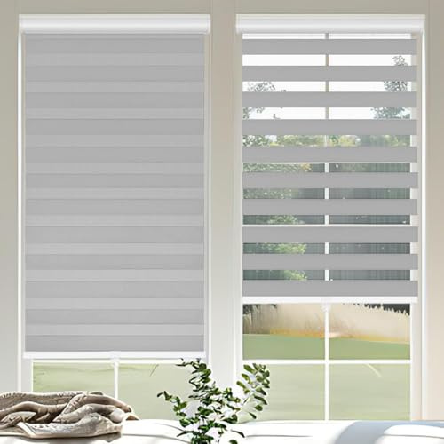OUDUCK Cordless Zebra Blinds for Windows, 54 W x 72 H Zebra Roller Shades with Valance Free Stop Zebra Roller Shades, Light Control Window Treatments Dual Layer Sheer Blinds for Day and Night, Grey
