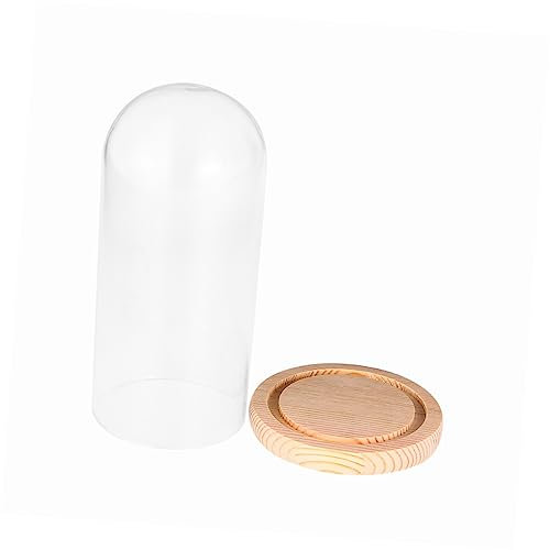GETAJGHSD Eternal Flower Display Light 9x24cm Glass Dome Cover Plant Protectors Decorative Dust Display Light