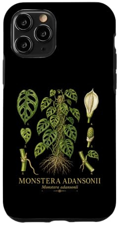 Monstera adansonii Vintage Botanical Anatomy Study Case for iPhone 11 Pro