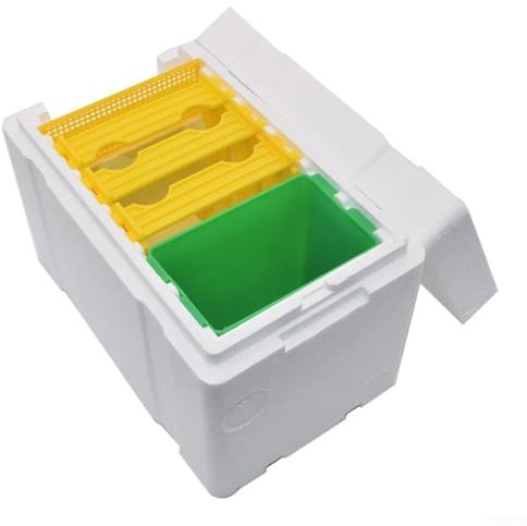 Queen Bee Zuchtbox, Mini Paarungsbox Bienenstock Tragbares Bienenzucht-Erntewerkzeug, Natürliches Bienenhaus Profi für Imker
