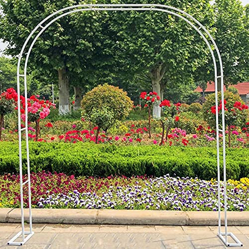 Arche de Treillis de Jardin, Arche de Jardin en Treillis métallique arqué, pergola pour Jardin de Fleurs extérieur, Arche de Treillis de Mariage pour Plantes grimpantes, rosiers, vignes et s