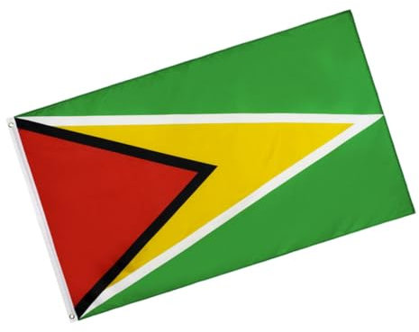 GANAZONO Bandiera Della Guyana Decorazione Nazionale Per Feste e Eventi Resistente e Lavabile Per Interni Ed Esterni Design Semplice e Pratico