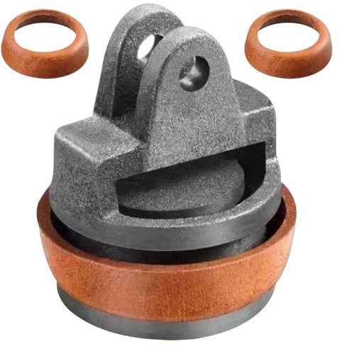 Editbar Replacement Piston for Handle Pump, Garden Pump, Hand Pump - New Cast Iron Cylinder Piston for Manual Water Removal, Ideal for Fountains and Garden Watering