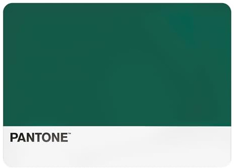 Pantone™ - Manteles Individuales de Plástico, 1 Pieza Rectangular Impermeable, Salvamanteles Individuales Antideslizante - Manteles de Mesa Antimanchas Pequeñas 45x30 Lavables a Mano y Ahorra Espacio