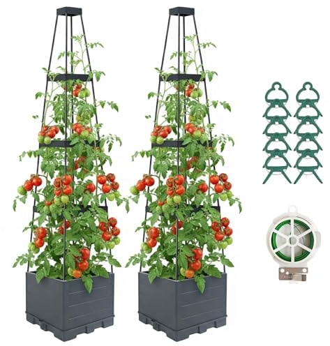 Lazzmonk 2 Pack Raised Garden Bed Planter Box with Trellis, 58”Tomato Planter with Trellis for Climbing Plants Vegetables Vine Flowers, Self-Watering Tomato Cage for Garden Patio Outdoor & Indoor