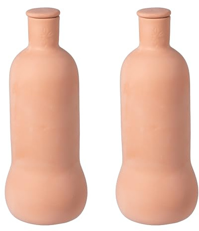 Relaxdays Ollas, 2er Set, 1 l, Ton, wurzelnahe Bewässerung, Hochbeet & Gewächshaus, weniger Wasserverlust, terrakotta | Hochbeet & Gewächshaus, weniger Wasserverlust