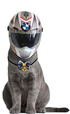 Mini-Helm für Hunde- und Katzenwelpen, Kopfschutzhelm Kleine Motorradmütze, Mini-Haustierhelm Mit Krawattenglocke Für Männer (01, S)
