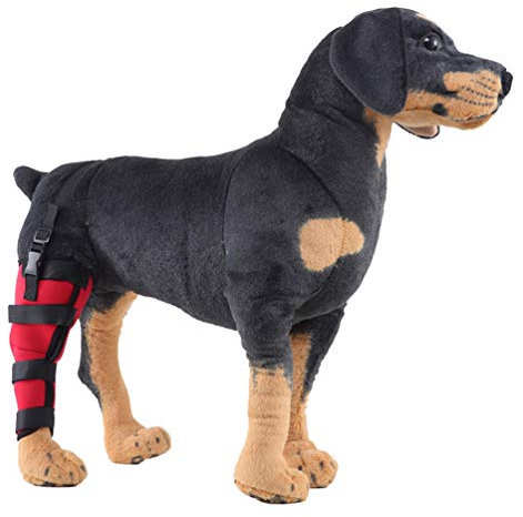 ZKOOO Hund Hinterbeine Kniebandage Handgelenk Sprunggelenk Wrap Schutz Gelenkbandage Stützbandage für Chirurgische Schützt Wunden und Arthritis Gelenkentzündung und Verstauchungen