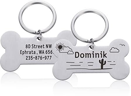 Personalisierte Hundemarke Custom Pet Puppy Cat ID Tag Hundehalsband Zubehör Gravierter Edelstahl Name Nummer für Hunde Katzen,Typ C-Silber,L 50x28mm