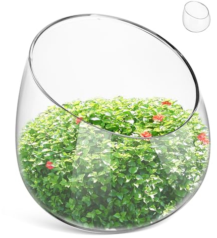 VALICLUD Terrario de Vidrio Boca Inclinada Maceta Decorativa Elegante y Versátil para Suculentas y Plantas Adecuado para Jardines Pequeños y Espacios Interiores