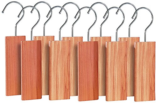 infactory Mottenfalle: 10er-Pack Zedernholz-Blöcke mit Metallhaken gegen Motten (Motten-Abwehr, Anti-Holz, Insektenvernichter)