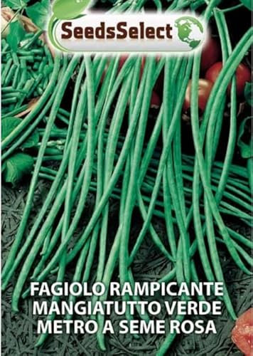FAGIOLO RAMPICANTE METRO A SEME ROSA BUSTINA GR 50