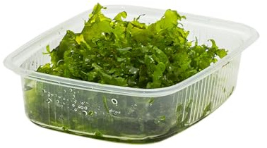 Zartes Lebermoos Monosolenium tenerum, Aquariummoos, Wasserpflanze | 1 Portion für Aquarium und Nano-Aquarium, pflegeleicht und robust, bildet Polster, für Aquascaping und Zwerggarnelen