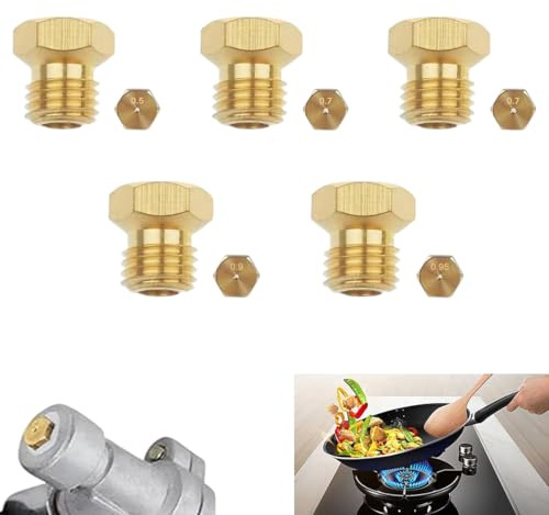 5 Pcs Gicleur Gaz Butane Universels Gicleur Gaz de Ville Gicleur Gaz Butane pour Plaque de Cuisson au Gaz Naturel GPL Injecteur Gaz Butane (0.5/0.7/0.7/0.9/0.95 mm)