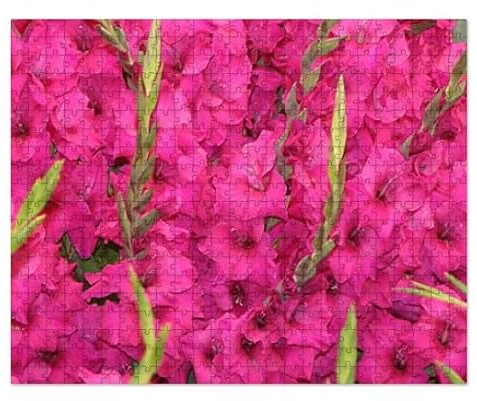 CafePress Pink Gladiolus Flowers Large Puzzle, 520 pcs.