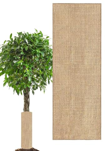 Schutzbezüge gegen Frost, atmungsaktiv, Winterschutzbeutel aus natürlicher Jute | für, Beeren, Büsche, Tomaten, Rosen, Sträucher, Terrasse, Gewächshaus, kaltes Wetter