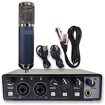 Micro de studio Carte son d'enregistrement d'interface Audio USB 2 en 2 sorties Audio professionnelle avec micro d'enregistrement à grand diaphragme Gardez votre voix claire