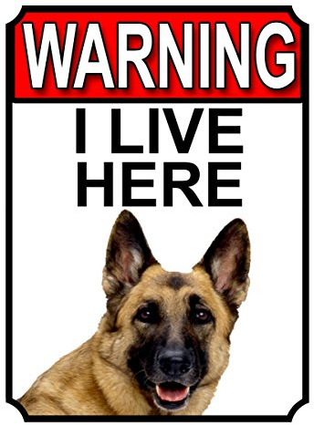 Shawprint WARNING I LIVE HERE METAL GATE SIGN GERMAN SHEPHERD THEME 200MM X 150MM (1332H1)