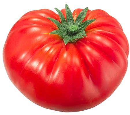 Tomatensamen Beefsteak – große Fleischtomate für Garten & Gewächshaus | Alte, samenfeste Sorte aus Portugal | ca. 25 Samen – nachhaltig & plastikfrei verpackt | Love My Nature