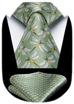 HISDERN Cravatte uomo verde Fazzoletto fantasia libellula Cravatta da matrimonio business elegante
