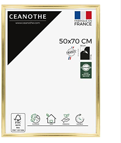 Ceanothe Cadre Photo 50x70 cm Doré pour Diplome Souvenirs Convient au A2 et Affiche Poster de la Collection Julia Verre acrylique Incassable– Fabriqué en France