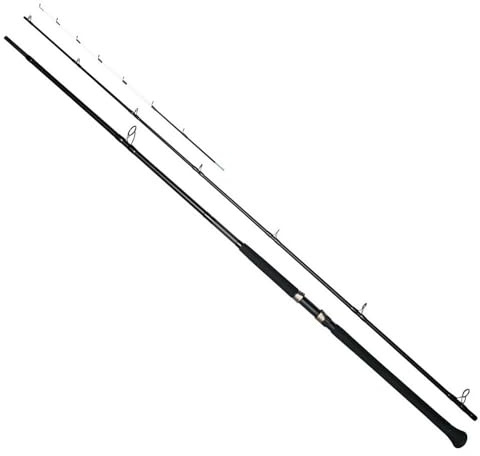 Westin W3 Powersturgeon 2ND 360cm M 20-100g - Störrute zum Angeln, Angelrute zum Störangeln, Rute, Raubfischrute
