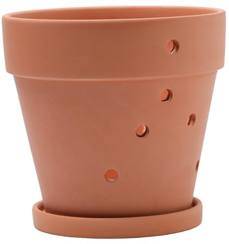 CAKEEYUM Pots à orchidées avec Trous, en Terre Cuite, avec Soucoupe, pour rempotage, pour Usage intérieur et extérieur, 6 × 5 Pouces