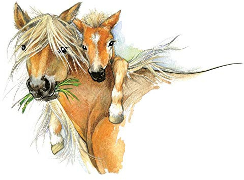 GRAZDesign Wandtattoo Pferd & Fohlen Kinderzimmer Mädchen | Wandsticker Pferdekopf braun | Deko Wanddeko selbstklebend Pferdesticker XXL - 70x50cm / 1