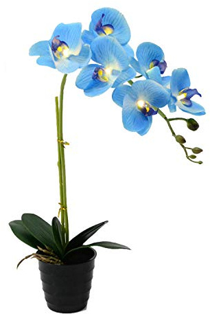 FLCSIed 20 (50cm) LED Blossom Orchid Flower Pot Lighted Bonsai 7PCs Warm LED with 2AA Battery Pot,7 PCs Real Touch Flowers with Buds