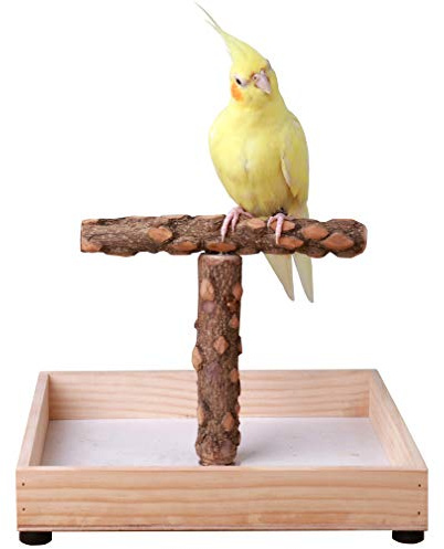 Bird Stand Tabletop,Portable Tee Stand, Parrot Play Stand Perch Gym for Small Medium Parrot (T Stand)