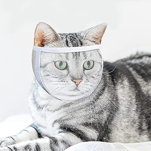 Katzemaulkorb Anti Beißen Mundabdeckung Katze Einstellbar Katzenpflege Atmungsaktiv Katzemaulkorb Transparent Design Maulkorb mit Klettverschluss Maulkorb Baden Körperkontrolle Krallenschneiden